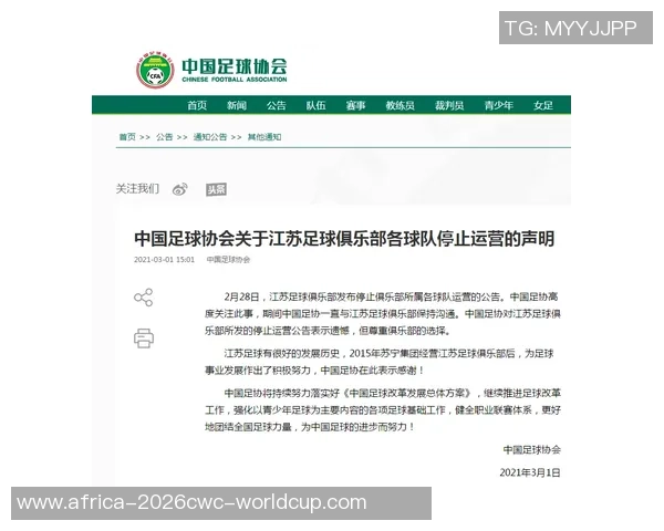 足球俱乐部各职位职责解析与职业发展路径探讨