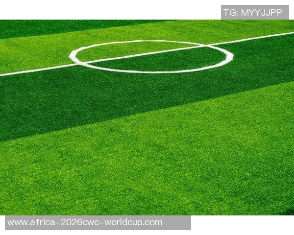 足球场种植土的科学研究与应用探讨促进足球场草坪质量提升的有效措施 足球场种植土的科学研究与应用探讨促进足球场草坪质量提升的有效措施